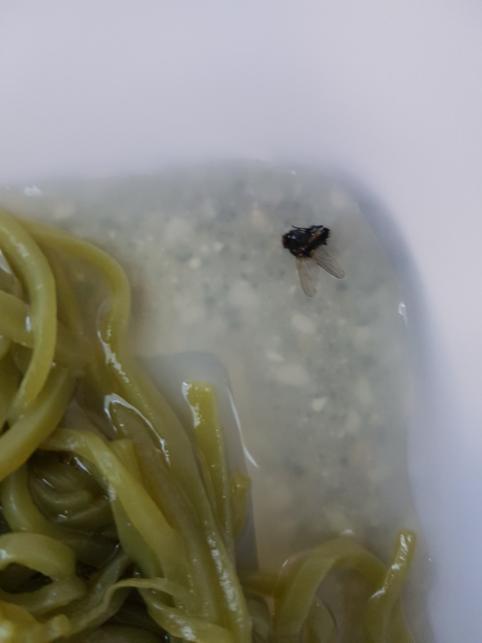 맛은 좋았으나 예상 못한 물체 및 고객센터 대응 불만