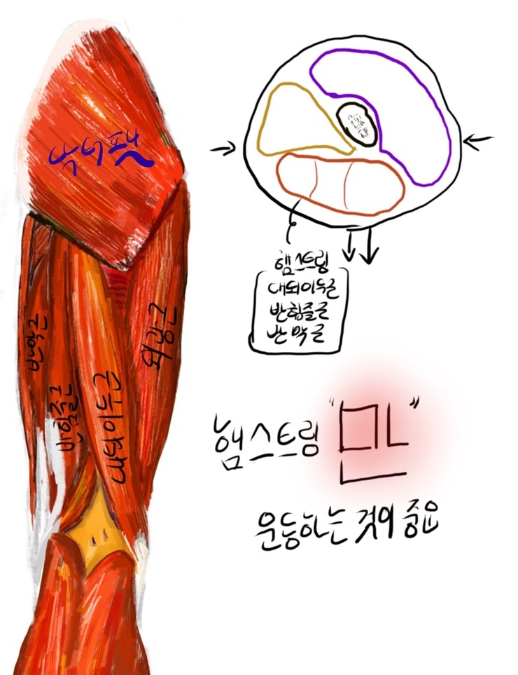 날씬한 허벅지 원하는 당신을 위한 팁!