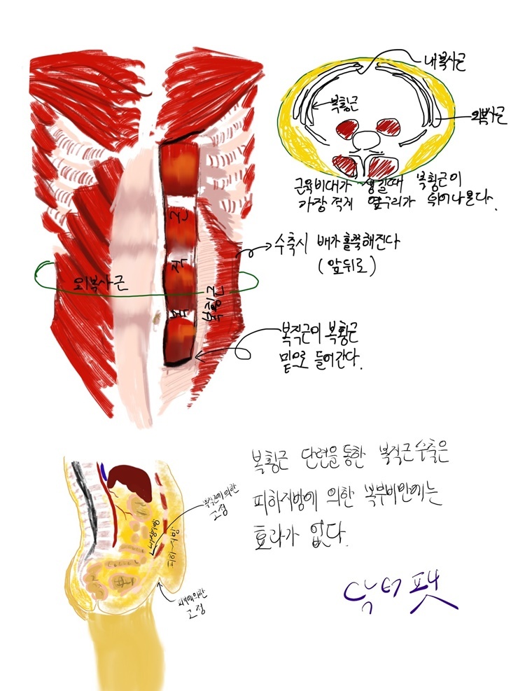 당신이 S라인 허리를 만들고 싶다면?