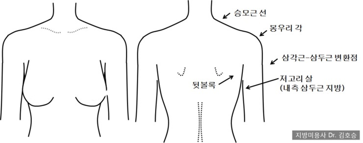 당신의 팔, 날씬하게 만들어주는 운동 팁!