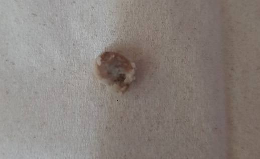 처음사서 청양고추맛 먹었는데 닭뼈가 나오네요?;;