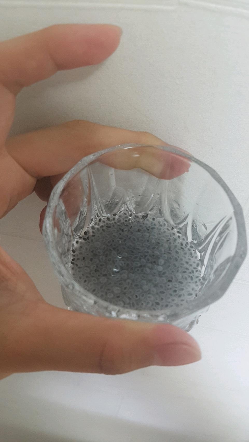 소소한끼 바질시드알약먹다 넘어왔어요ㅋ