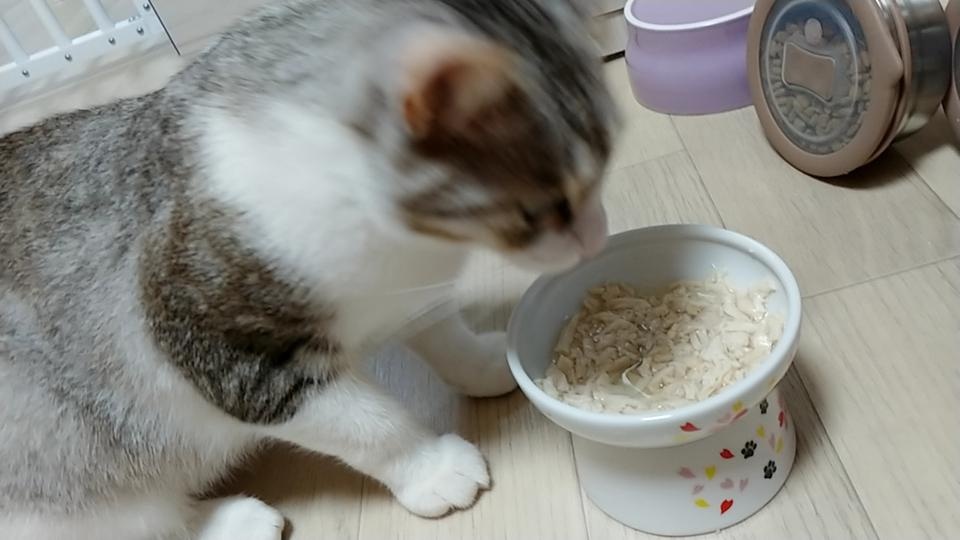 고양이 간식으로 구입했어요.