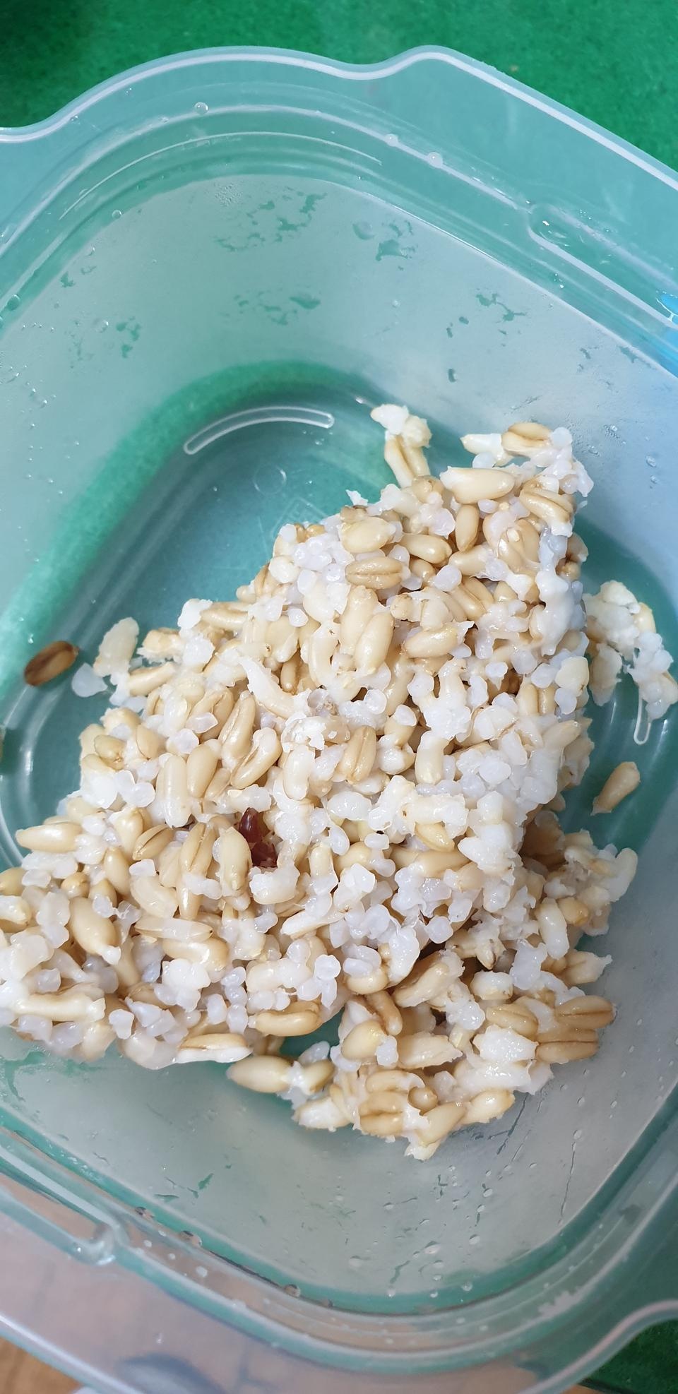 맛이 괜찮아요~^~
귀리밥 회사에서 100g만 먹고 용기에 덜어놨어요