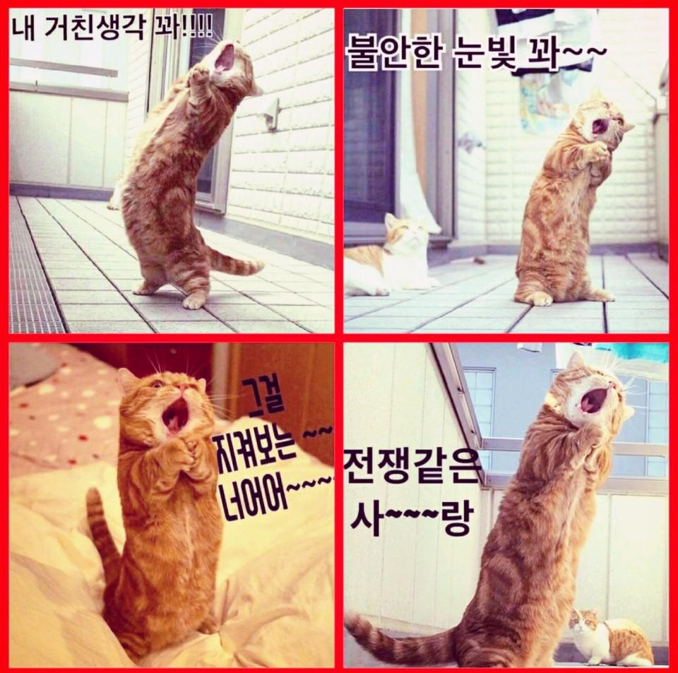 좋아요 ㅇㆍ주좋아요 너무조아