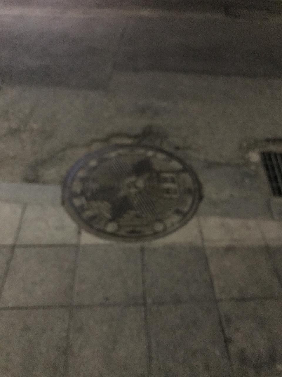 너무 맛있어요 특히 녹차맛 너무 맛이 좋아요
기대 이상입니다 근데 크기는 작네요 ㅜ