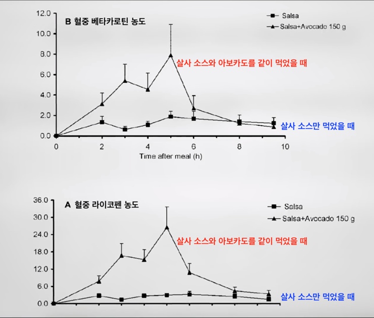 아보카도, 제대로 알고 먹고 계신가요?