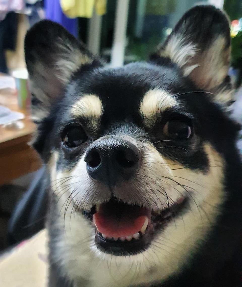 몇번째구매인지~ 먹어도먹어도 맛있