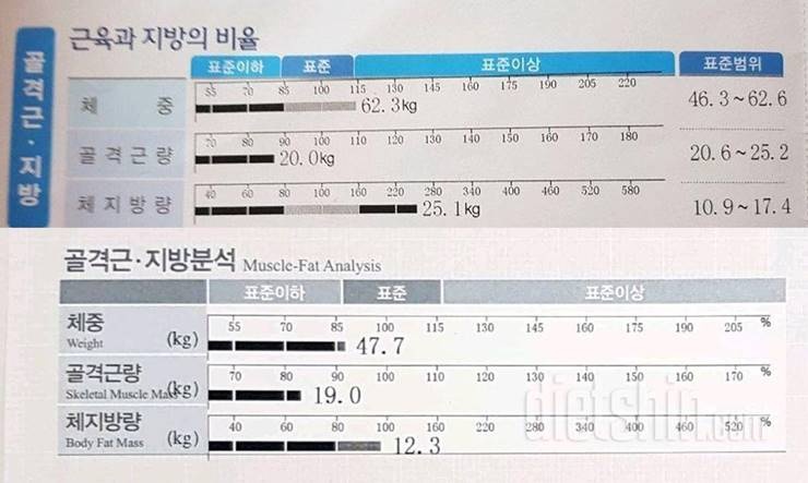 한 번 뿐인 결혼식을 위해 23kg 감량한 예신 다이어터!