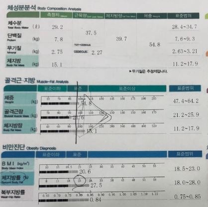 10/1일부터 한달 비포&에프터 및 중간점검! 55.4kg>50.6 (총 4,8kg감량)