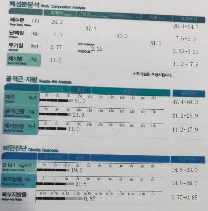 10/1일부터 한달 비포&에프터 및 중간점검! 55.4kg>50.6 (총 4,8kg감량)