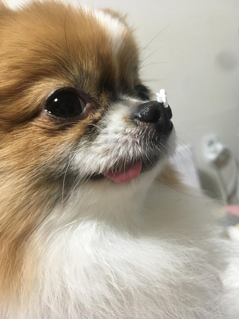 질 받았습니다 아직
먹기 전인데 맛있으면 또 시켜막을게요