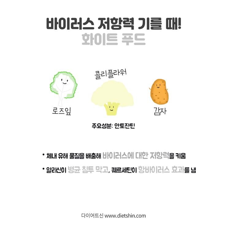 매일, 5가지 컬러채소를 먹어라?