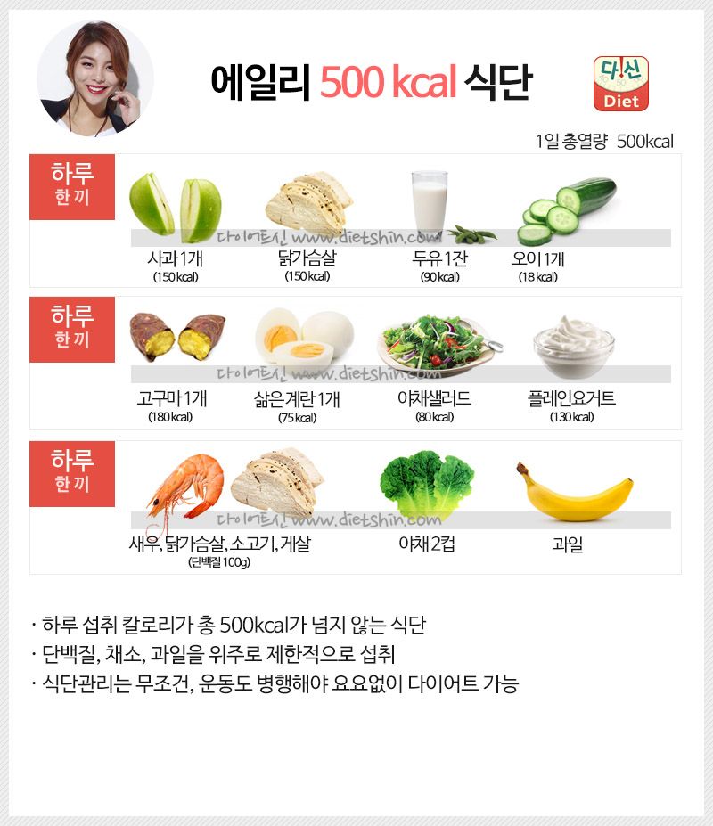 에일리 식단표 (하루 500kcal 식단)