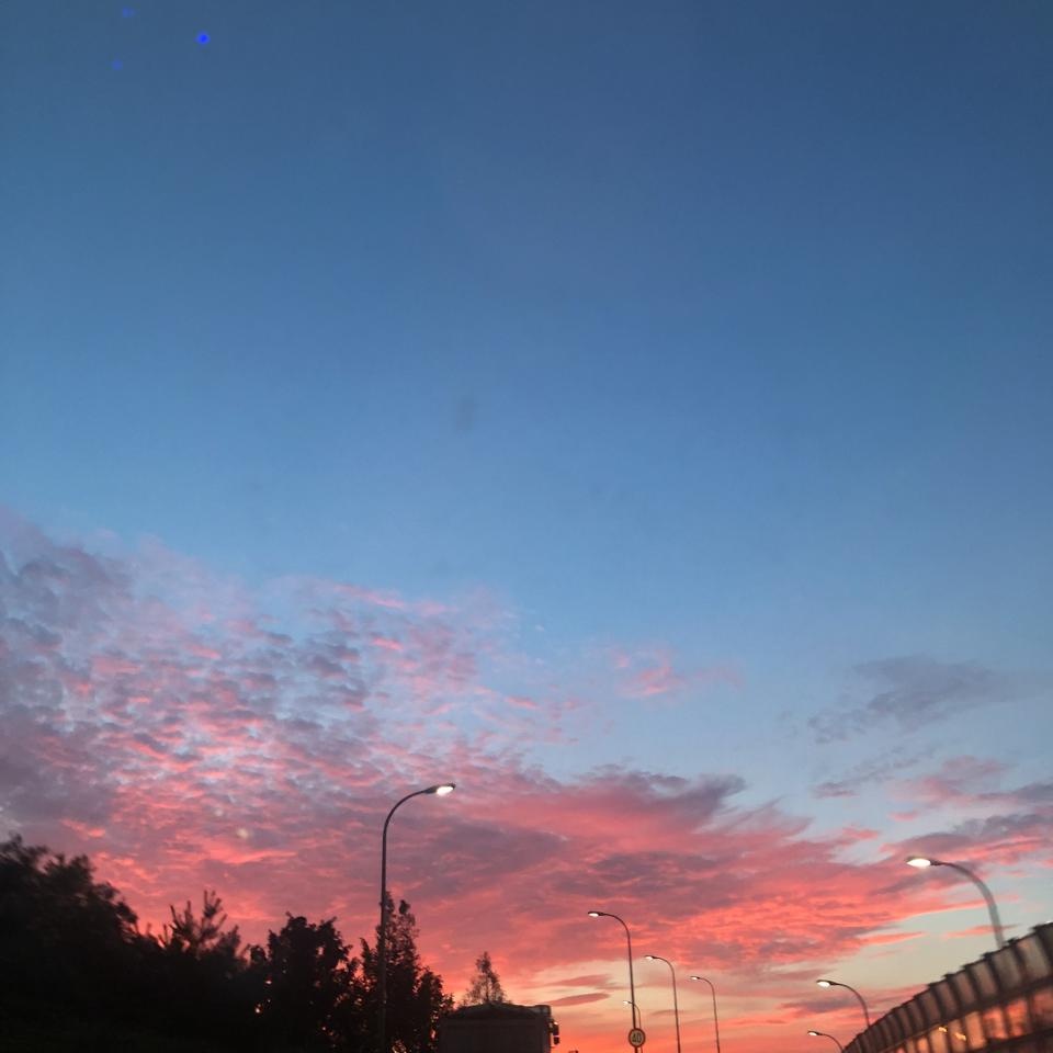일단 당류가 없어서 맘에 쏘옥