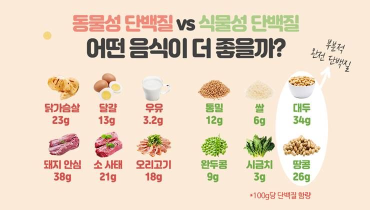 동물성 단백질 VS 식물성 단백질, 슬기로운 섭취법!