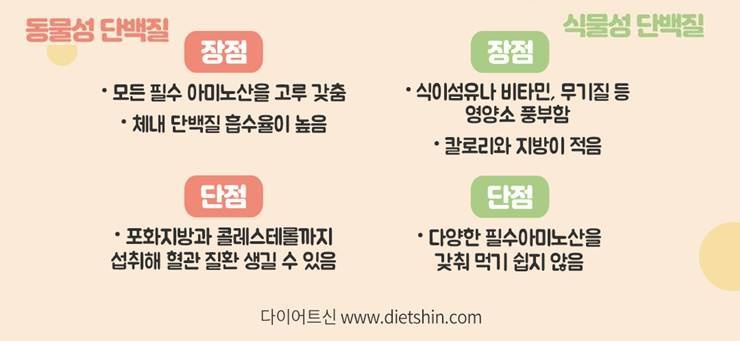 동물성 단백질 VS 식물성 단백질, 슬기로운 섭취법!