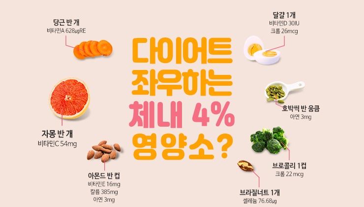 다이어트 좌우하는 체내 4% 영양소는?!