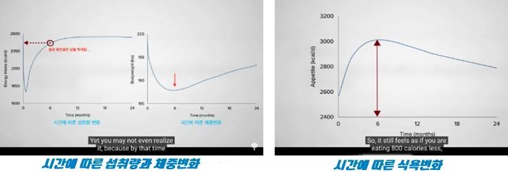 체중정체기, 내 의지력 문제가 아니다?!