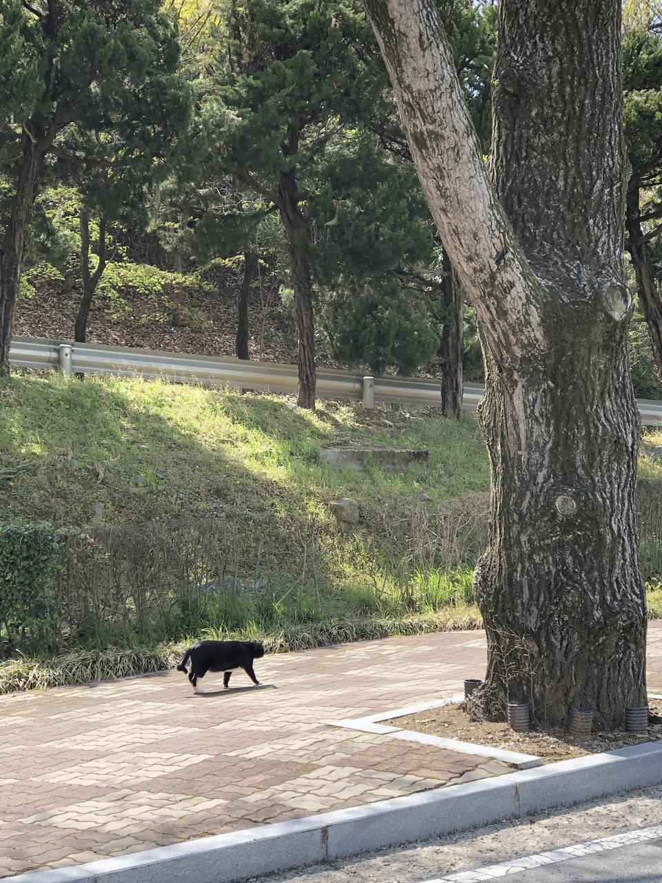 세번째 시켜먹는중이에여:) 여기서 두부맛 제일 좋아하는데 항상 6가지로 시켜서 돌아가며 먹어요 ㅎㅎ 배송...