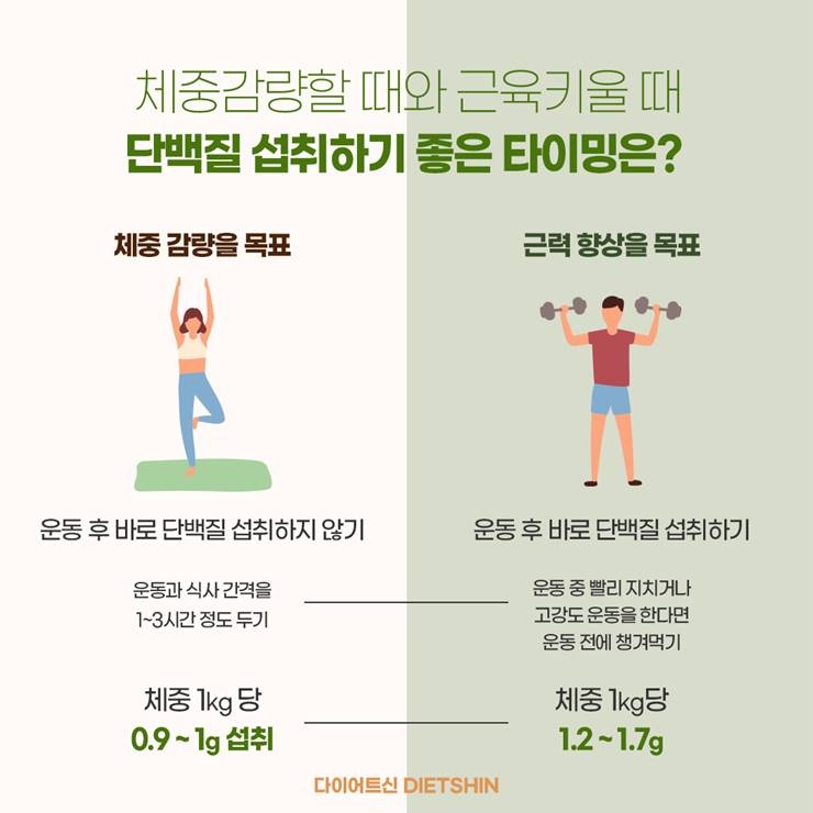 살 뺄때와 근육키울 때, 단백질 먹기 가장 좋은 타이밍은?