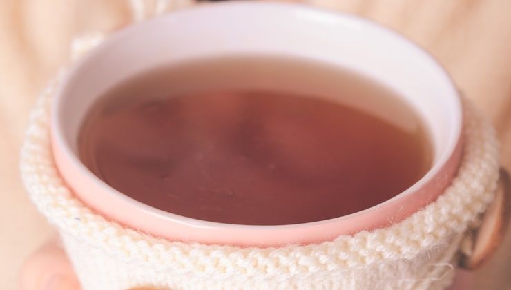 겨울철 살찌우는 `간식` 대신 공복감 주는 `차(tea)` 마셔라?