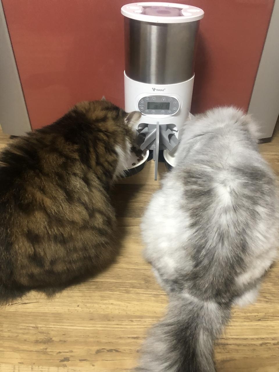 좋아요다음에또구매할께요