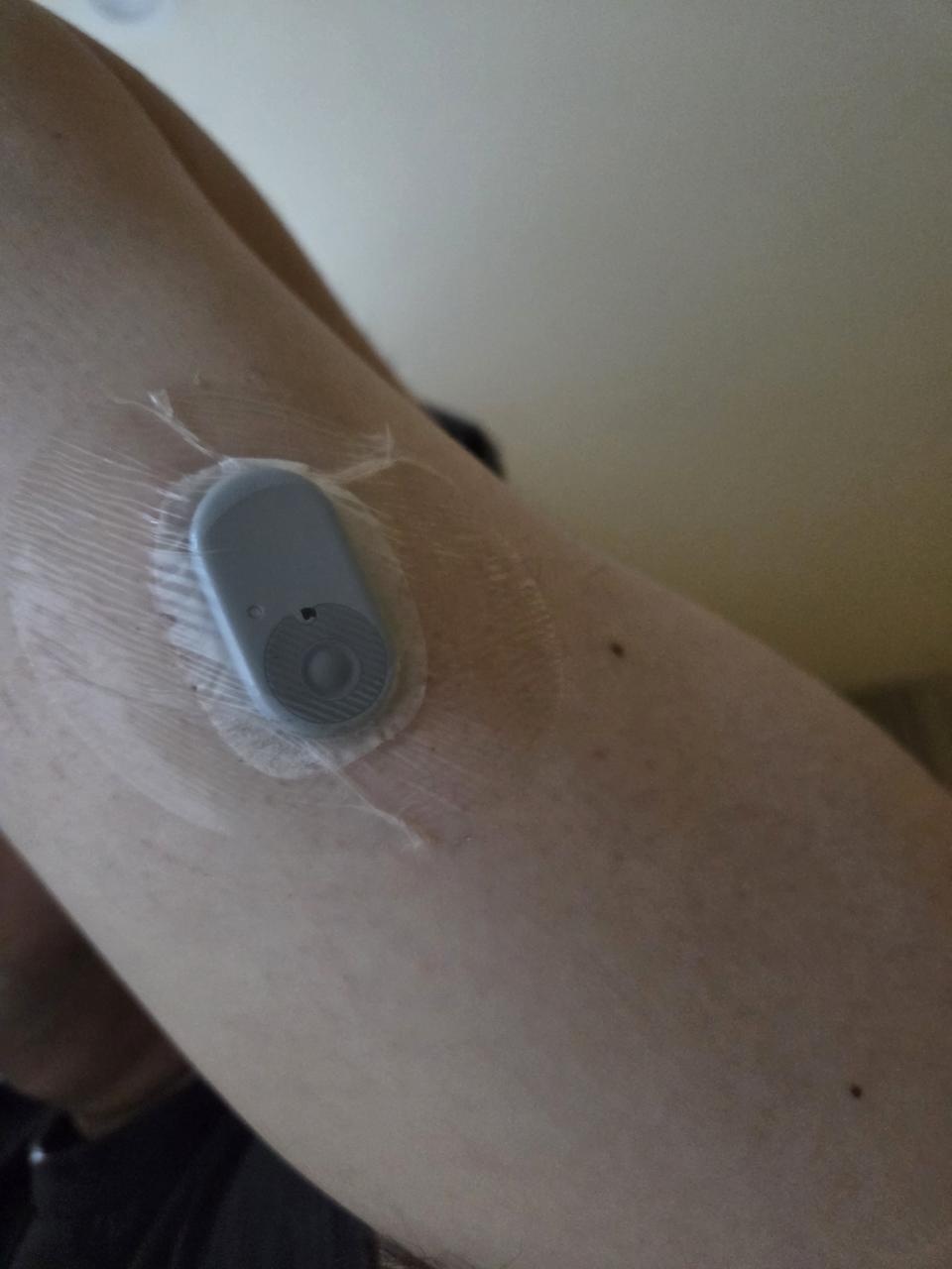 연당기는 일생 한번은 꼭 해봤으면함
