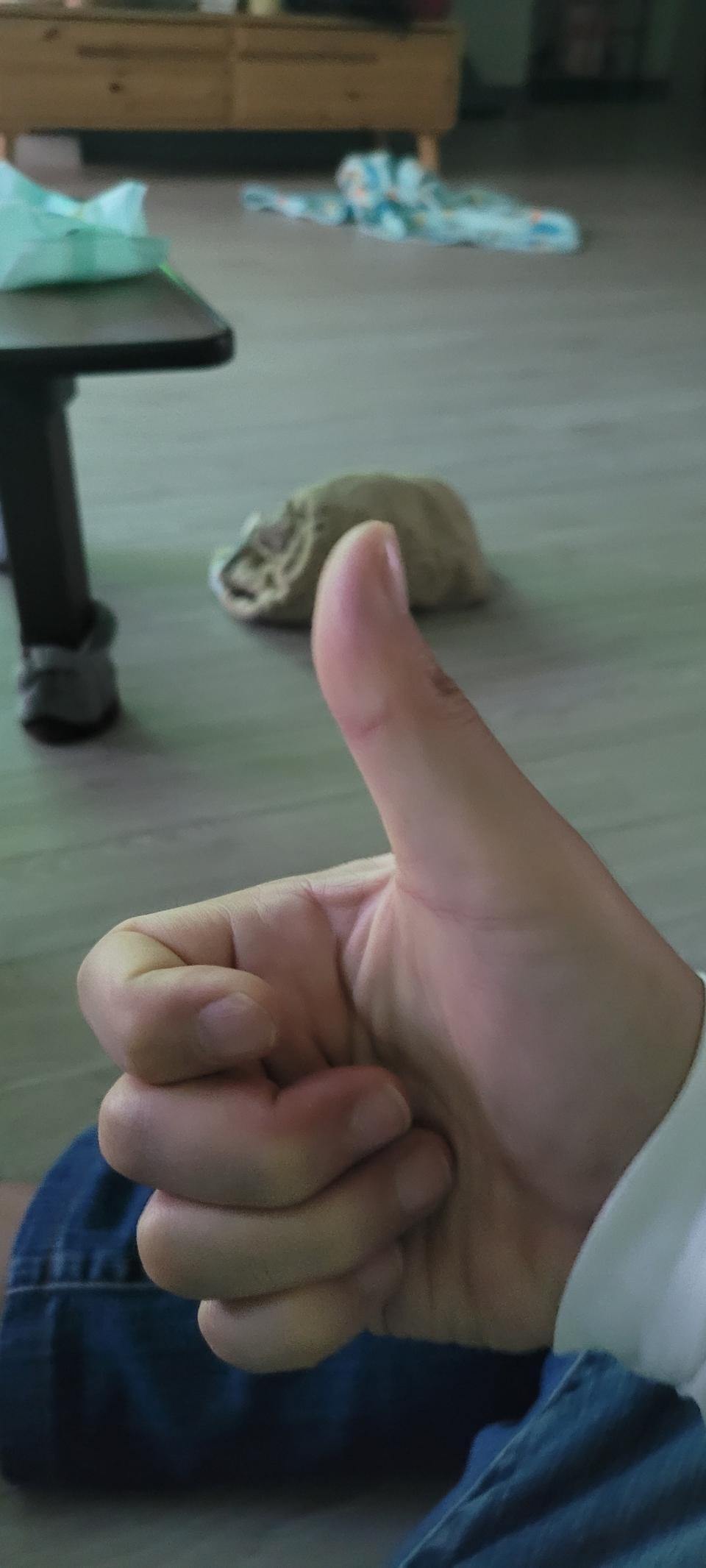 스티롬 박스로 안심스럽게 포장해 주셔서 매우 만족했습니다.
