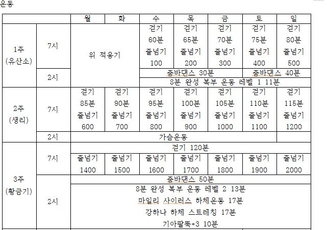 6주 다이어트 계획 -8kg