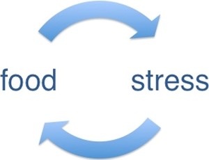 당신이 스트레스를 받을수록 살찌는 이유는?