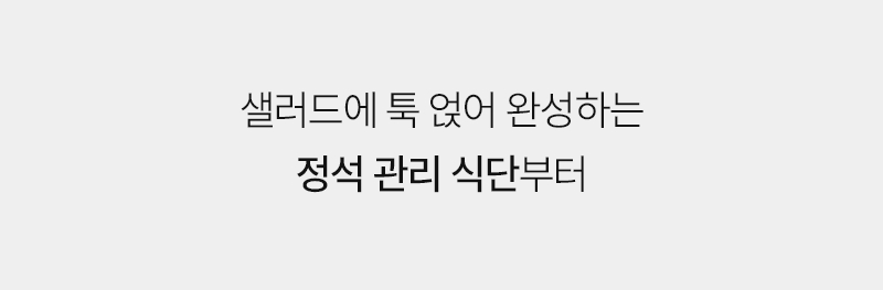 샐러드 활용영상, 정석 식단 안내 텍스트